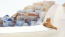 Santorinas