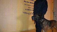 Įkalinimo įstaigų patikrinimas su tarnybiniais &scaron;unimis