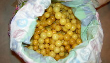 Sulaikyta kontrabanda