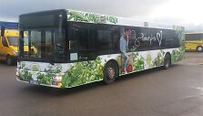 Vie&scaron;uoju transportu po Kretingą bus galima važinėti nemokamai.