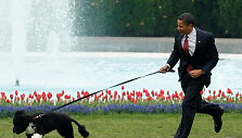 Barackas Obama su savo augintiniu
