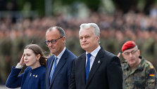 Dovilė &Scaron;akalienė, Friedrichas Merzas, Gitanas Nausėda