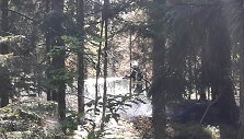 Kretingos rajone pirmadienio popietę degė mi&scaron;kas
