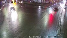 Partrenkta mergina