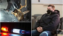 Policininkas E.Balčiūnas atsidūrė teisme, kol kas &ndash; tik dėl įtarimų gabenus neteisėtai sumedžiotą laukinį gyvūną.