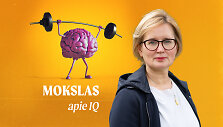 Sigita Girdzijauskienė