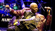 B.B.Kingas (2011 m.)