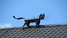 Katinai ant vaistinės &bdquo;Valerijonas&ldquo; stogo