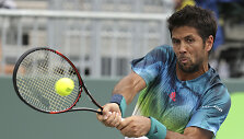Fernando Verdasco