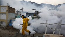 Darbininkai dezinfekuoja aplinką nuo Zika virusą perne&scaron;ančių uodų