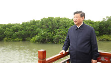 Xi Jinpingas