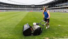 Stadiono veja