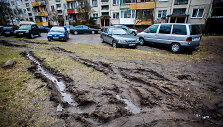 Automobilių subjaurota žalioji veja