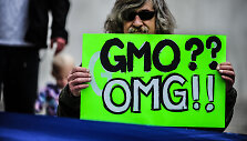 GMO prie&scaron;ininkas proteste prie JAV vyriausybės
