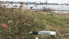 Smeltės botaninis draustinis Malkų įlankoje paverstas &scaron;iuk&scaron;lynu