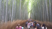 Japonijos vaizdai