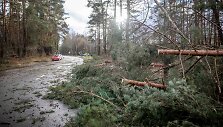 Stipraus vėjo padariniai Vilniaus mieste ir apylinkėse