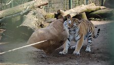 Zoologijos sodas pra&scaron;o lankytojų paaukoti jiems nebereikalingų daiktų