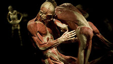 Plastifikuoti žmonių kūnai parodoje &bdquo;Body Worlds&ldquo;