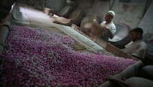 Saldainių fabrikas Palestinoje