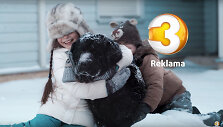 TV3 televizija