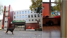 Kauno Jono ir Petro Vilei&scaron;ių mokykla