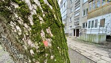 Sostinės &bdquo;Žirmūnų trikampyje&ldquo; kertami medžiai