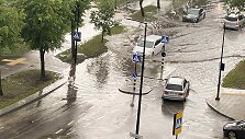 Liūtis skandina Alytų