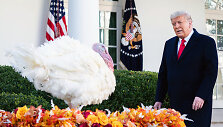 Donaldas Trumpas suteikė malonę kalakutui