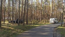 Antradienio pavakarę &bdquo;Seat Toledo&ldquo; vairuotojas, bandęs įveikti dviračių taką, kelionę baigė atsitrenkęs į medžius.