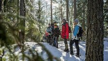 Kelionė į Suomijos Repovesi nacionalinį parką ir trijų dienų pėsčiųjų žygis
