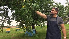 Marijos trobelės įkūrėjas Mindaugas Balčiūnas skina obuolius