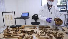 Kolumbijos masinėje kapavietėje rastų palaikų identifikavimas