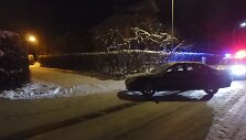 Ringauduose &bdquo;Peugeot&ldquo; apgadino kelio ženklą