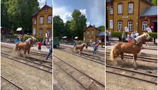 Anyk&scaron;čiuose ir Anyk&scaron;čių rajone vyko tradicinės kultūros &scaron;ventė &bdquo;Bėk bėk, žirgeli!&ldquo;