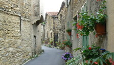 Cenova