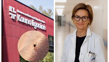 Kada vykti į ligoninę įsisiurbus erkei