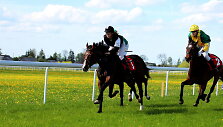 Žirgų sportas