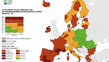 Sergamumas COVID-19 Europos &scaron;alyse. Rugpjūčio 19 d.