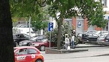 Kėdainiuose prie &bdquo;Maximos&ldquo; vėjas nulaužė medį
