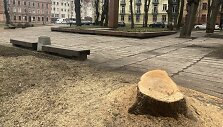 Klaipėdoje, K.Donelaičio skvere, i&scaron;kirstos septynios liepos