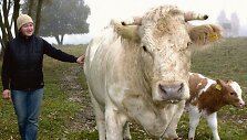 Būsimo ūkio viziją parsivežė i&scaron; &Scaron;kotijos.