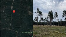 Pervalkoje mi&scaron;kininkų vykdyti darbai sukėlė klausimų: ar reikėjo taip drasti&scaron;kai kirsti medžius.