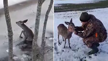 Deividas Grybas ir i&scaron;gelbėtas stirniukas