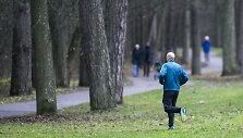 Vingio parkas