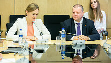 Viktorija Čmilytė-Nielsen ir Saulius Skvernelis