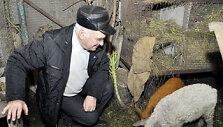 Verslininkas Kazys Stončius džaugiasi savo naujais augintiniais. 