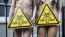 PETA protestas prie&scaron; Londono mados savaitę