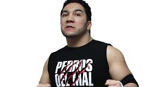 Perro Aguayo jaunesnysis