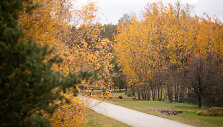 Paskutiniai auksinio rudens atvaizdai
